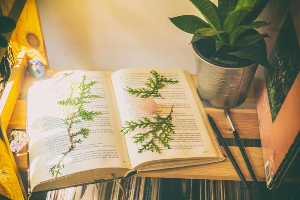 A peaceful corner featuring an open book, plants, and natural light, perfect for reading and relaxation.