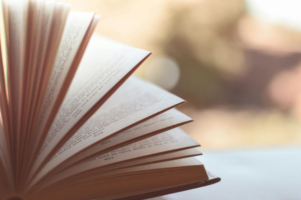 Close-up view of an open book with pages fanned out against a soft blurred background.