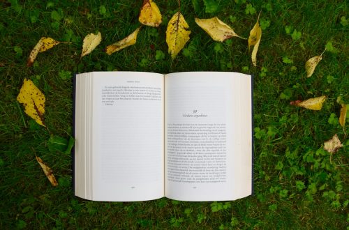 opened book on grass during daytime